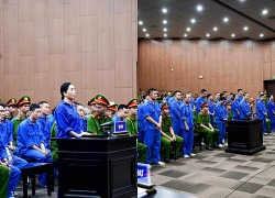 Cựu Viện trưởng Viện Pháp y tâm thần Trung ương và 'bà trùm' nhận án tù