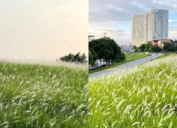 Giám đốc lương hơn 100 triệu mất việc ở tuổi 45, ngỡ ngàng trước thái độ nhà vợ