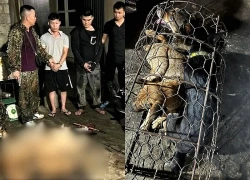 Hai người dùng súng tự chế trộm 9 con chó trong một đêm