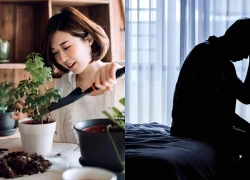 Hoãn lấy vợ để tập trung kiếm tiền, tuổi 50 tôi ốm 'sập' giữa đêm không ai biết