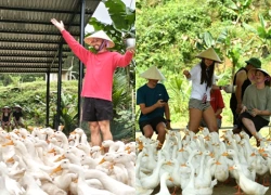 Khách Tây đi massage vịt, cá ở Việt Nam khen 'kỹ thuật viên rất tốt, rất hài'