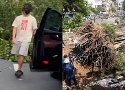 Nam ca sĩ kể phút thoát nạn khi xe va trúng cây bật gốc ở trung tâm TPHCM