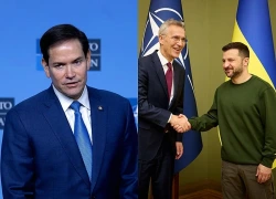 Ngoại trưởng Mỹ: Chưa đến lúc kết nạp Ukraine vào NATO