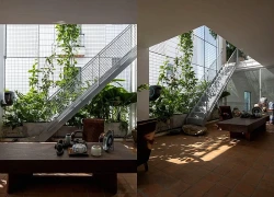 Ngôi nhà dành một khoảng rỗng chạy suốt chiều dài để đón nắng gió