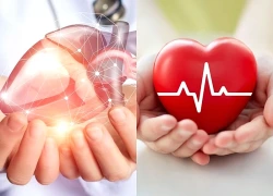Những điều phụ nữ cần biết để bảo vệ sức khỏe tim mạch