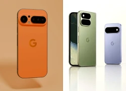 Thông số màn hình Google Pixel 12 rò rỉ: Bước chuyển về tỷ lệ hiển thị trên 4 phiên bản