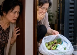 Tôi bỏ về nhà con gái sau khi cãi nhau với chồng, sáng hôm sau thấy túi sung trước cửa mà hoang mang