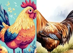 Lời khuyên cho tuổi Dậu