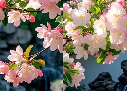 Tháng sinh Âm lịch của người phụ nữ có cả nhan sắc lẫn khí chất