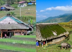Xà Phìn mở lối du lịch từ những mái nhà phủ rêu