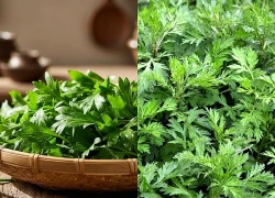 5 món ăn từ ngải cứu hỗ trợ giảm đau xương khớp