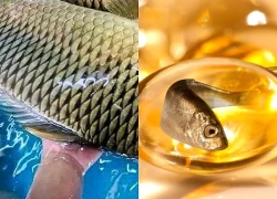 8 loại cá giàu omega-3 tốt cho tim mạch bạn nên ăn thường xuyên