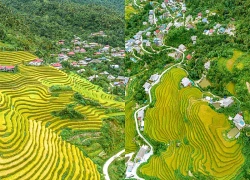 Không cần đến Su Phì, vẫn ngắm ruộng bậc thang vàng rực ở Khuổi My