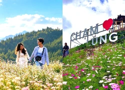 Lũng Cú thu hút du khách với những triền hoa tam giác mạch đang đua nở