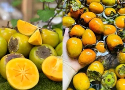 Nên ăn hồng ngâm vào thời điểm nào để tránh tác dụng phụ?
