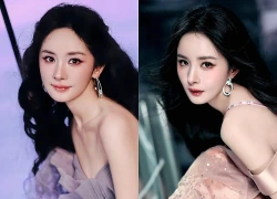 Nỗi tủi nhục của Dương Mịch