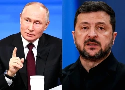 Ông Zelensky tuyên bố sẵn sàng tổ chức bầu cử, nêu điều kiện 60 ngày ngừng bắn với Tổng thống Putin