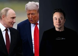 Quan chức Nga kêu gọi tỷ phú Elon Musk xây "đường hầm Putin - Trump"