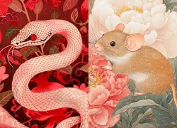 Song hỷ lâm môn: 3 con giáp may mắn TÌNH TIỀN, sự nghiệp thăng hoa, tình duyên viên mãn, Tài Lộc tỏa sáng trong nửa cuối tháng 10 dương lịch