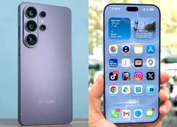 Top 5 smartphone đáng sở hữu nhất năm 2026