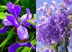 Trúng số độc đắc trong 7 ngày tới, 3 con giáp CON CƯNG THẦN TÀI, Vượng Tài Vượng Lộc, vận khí tươi tốt, tiền tỷ tự động chạy vào nhà