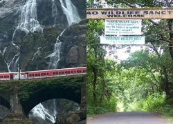 5 điểm đến đẹp như tranh vẽ ở Goa trong mùa mưa