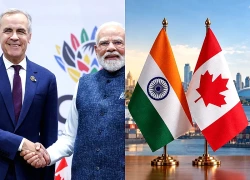 Canada-Ấn Độ thúc đẩy đàm phán thương mại, hướng tới tăng gấp đôi kim ngạch