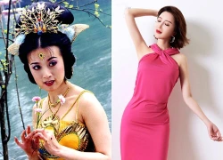 'Công chúa màn ảnh' tụt dốc vì ồn ào đời tư, tuổi 51 vẫn trẻ đẹp, sống sung túc