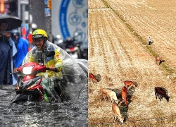 El Nino rất mạnh: Mùa mưa kết thúc sớm, TPHCM và Nam Bộ nắng nóng bất thường