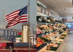 IMF nâng nhẹ dự báo tăng trưởng kinh tế toàn cầu năm 2026