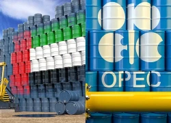 OPEC+ cảnh báo chi phí vận chuyển, bảo hiểm năng lượng tăng kỷ lục
