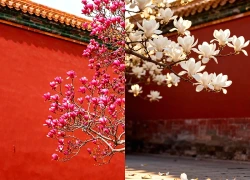 Giờ sinh Âm lịch của người tốt tính, đi đâu cũng được yêu quý