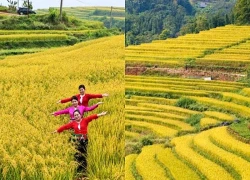 Thượng Cốc tích cực chuẩn bị cho Lễ hội ruộng bậc thang Miền Đồi năm 2026