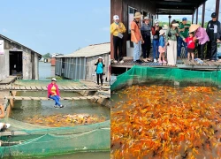Tìm cách làm mới để thu hút khách