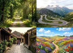 Hãy chọn 1 con đường bạn muốn đi nhất