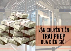 Truy tố nam giám đốc chuyển trái phép hơn 900 tỷ đồng ra nước ngoài