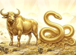 Nửa cuối tháng 9 âm lịch: 3 tuổi càng biết tính đường dài, tài chính càng dễ vững vàng