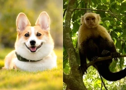 Tử vi 12 con giáp ngày 14/10/2026: Sửu - Mão - Thìn tích cực