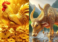 Từ tháng 9 âm đến cuối năm, 3 con giáp dễ có cả tiền lẫn tài sản: Một giai đoạn đáng để tăng tốc