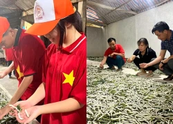 Về Trấn Yên xem kén vàng xe tơ: Trải nghiệm mới ở vựa dâu tằm lớn nhất miền Bắc