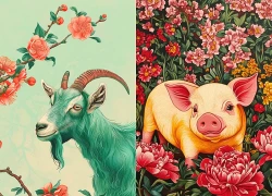 Xem tử vi hôm nay, tử vi 12 con giáp ngày 15/10/2026: Dần - Dậu sự nghiệp hưng thịnh, Mão - Thân công việc bất trắc