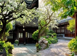 Ngày sinh Âm lịch của người càng về già càng sung túc, ít lo nghĩ