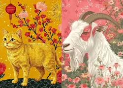 2 tuần tới, 4 con giáp vận trình rực rỡ, gặp khó có quý nhân dẫn đường