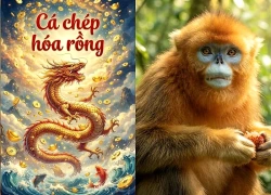 4 con giáp có số lập nghiệp phương xa; Càng xa quê bao nhiêu càng giàu có