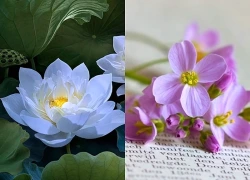 Chúc mừng 3 con giáp Thần Tài soi đường, vận trình SỐ ĐỎ, tha hồ sống sung túc viên mãn, thu vét vận may của trời đất từ nay đến ngày Rằm tháng 9 âm lịch