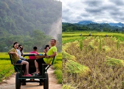Ngắm voi hoang dã Sri Lanka dưới hoàng hôn