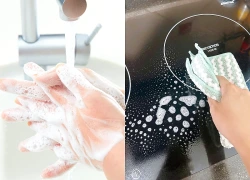 Giữ gìn vệ sinh môi trường sống: Chìa khóa phòng ngừa bệnh truyền nhiễm
