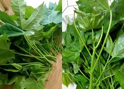 Loại rau 'trường thọ' nhưng chuyên gia khuyên tuyệt đối không ăn sống
