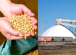Mỹ nhập phân bón Belarus sau 4 năm: Những tính toán phía sau lô hàng 30.000 tấn