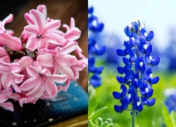 Qua đêm nay, 3 con giáp Tam Hội giúp sức, Thần Tài trợ mệnh, TÀI LỘC RỦNG RỈNH, vận trình bừng sáng